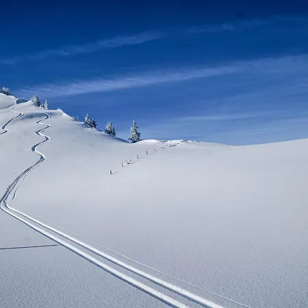 호텔 Berghotel Hahnenmoos 아델보덴