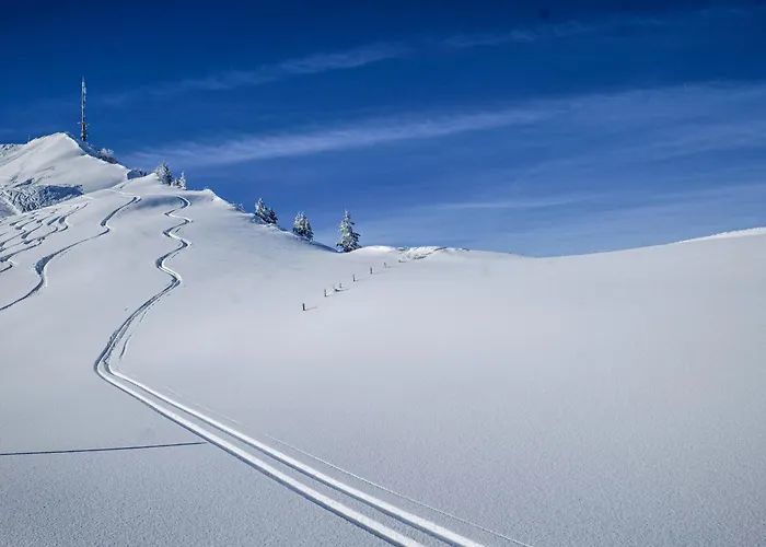 Hotel Berghotel Hahnenmoos Adelboden